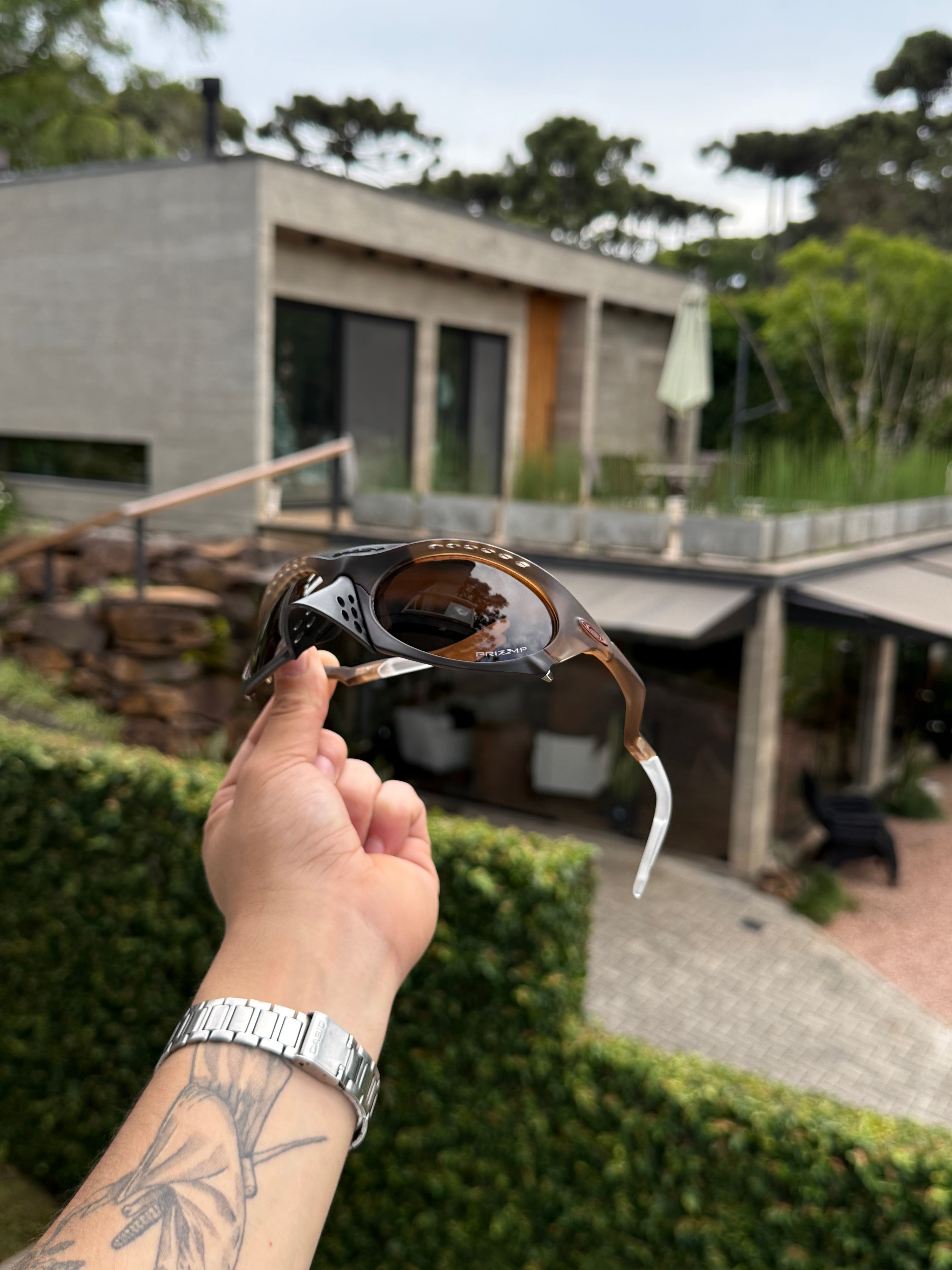 Óculos Plantaris Marrom - Brown Tungsten