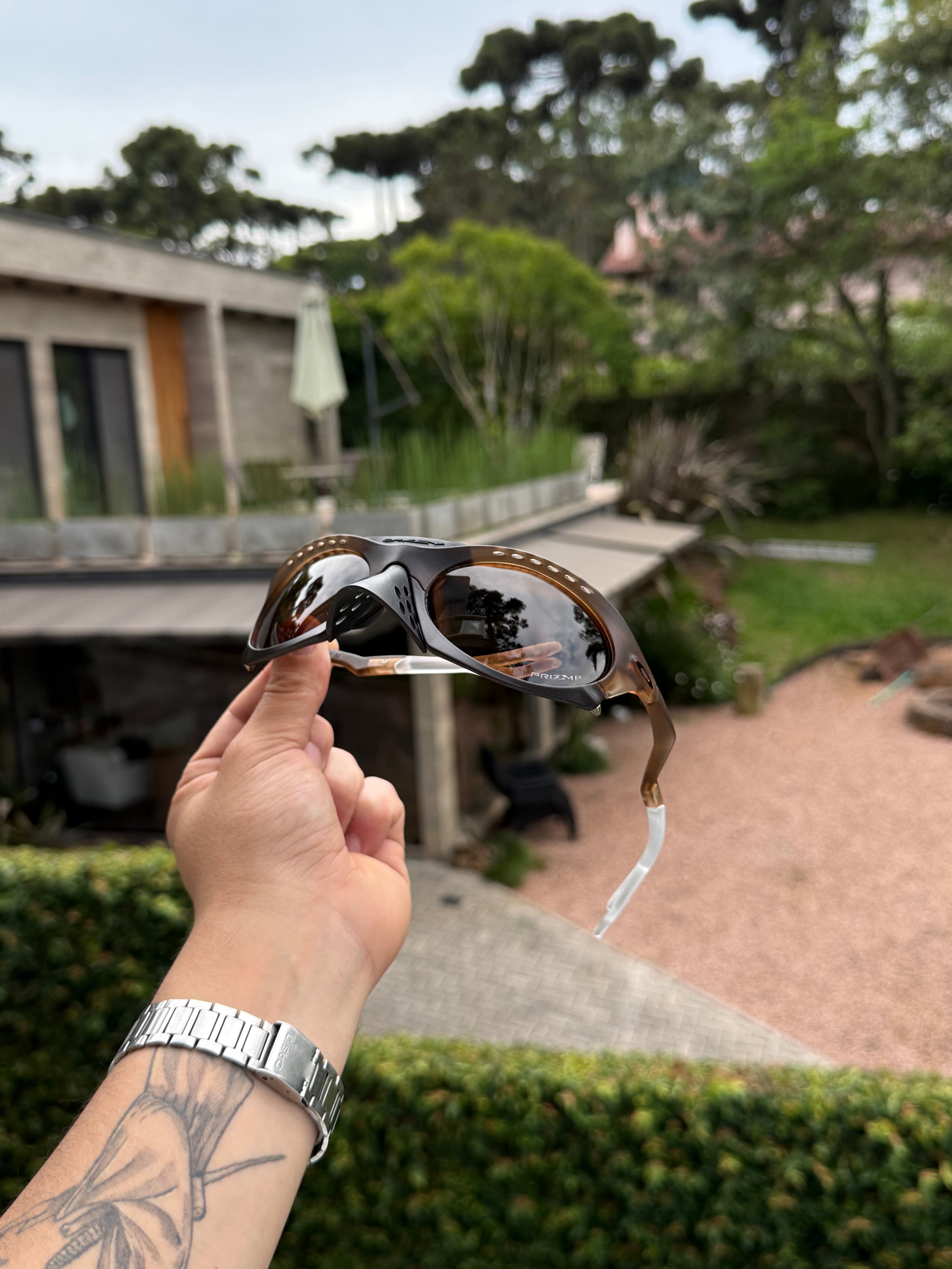 Óculos Plantaris Marrom - Brown Tungsten